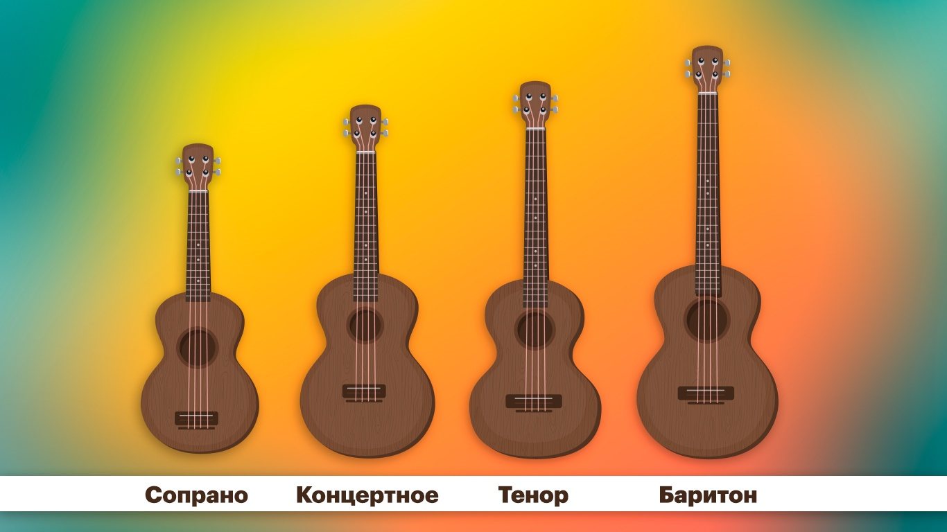 Сравнение самых распространённых типов укулеле